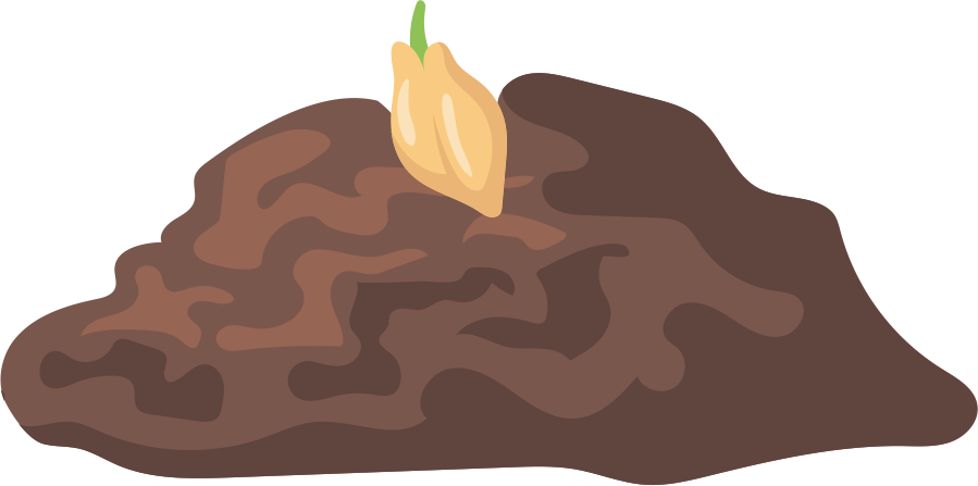 Seed
